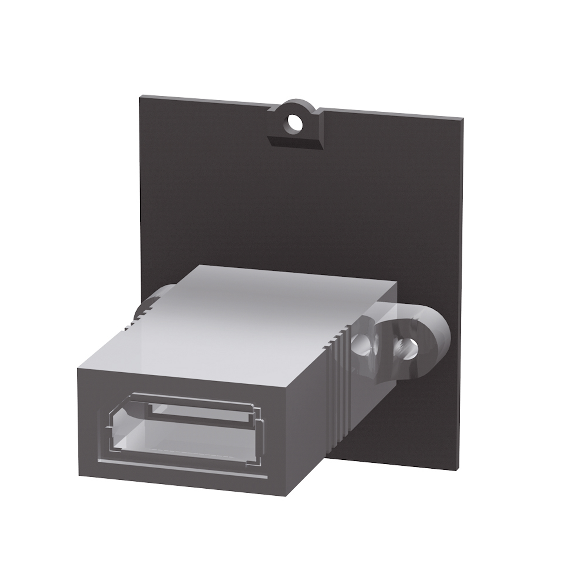 BACHMANN Custom Modul DisplayPort