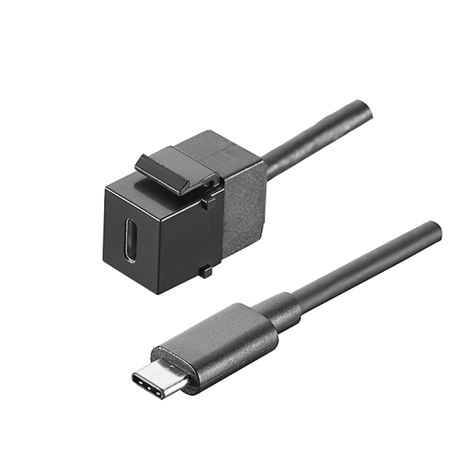 BACHMANN Keystone Modul USB 3.1 Typ C