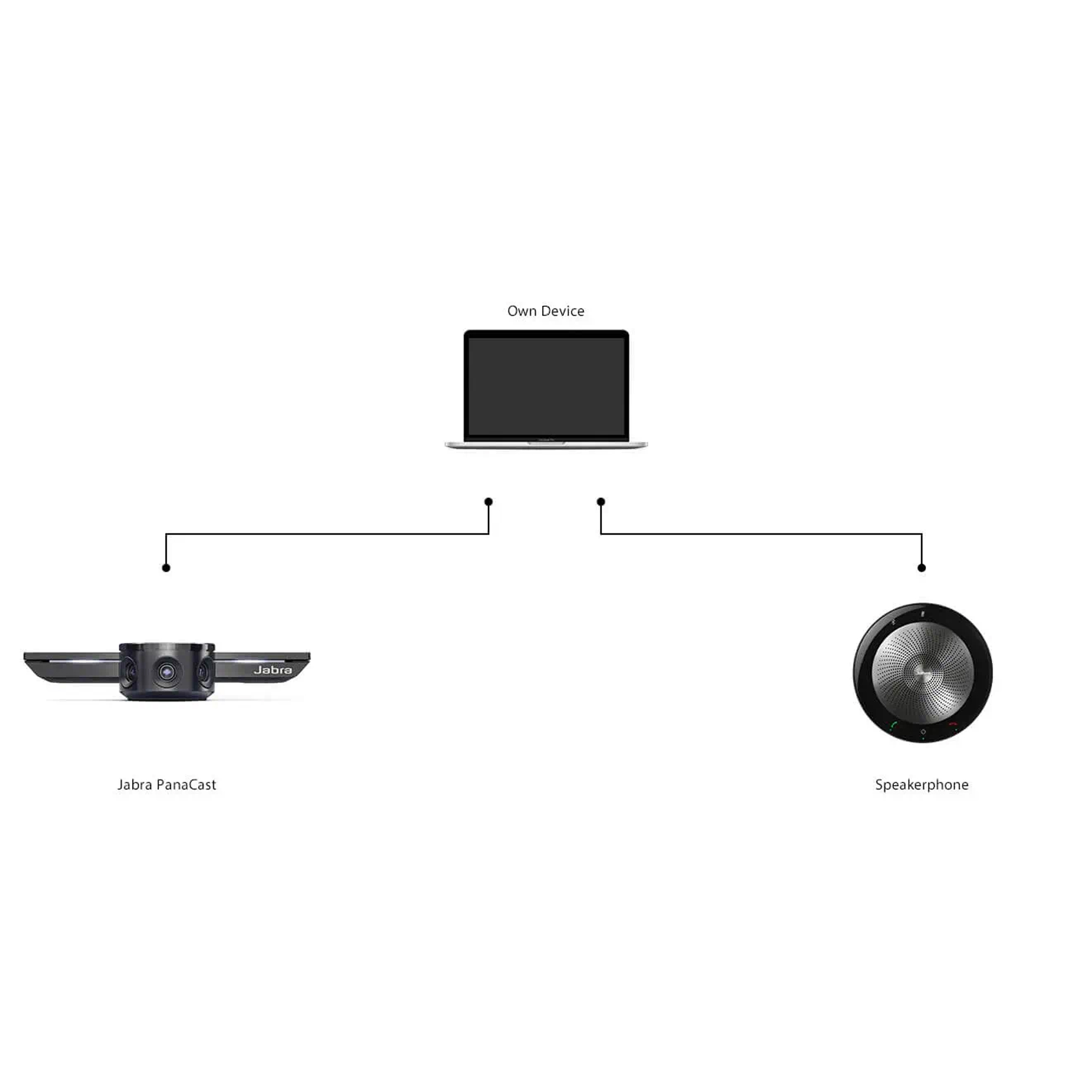 Jabra PANACAST MEET ANYWHERE für kleine Teams mit Reiseetui